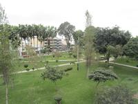 Dpto 3er. piso en Calle San Tadeo, linda vista a parque
